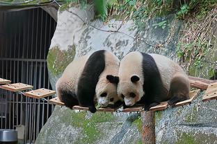 意天空：莱奥肌肉伤病已经痊愈，有望出战对阵亚特兰大的比赛